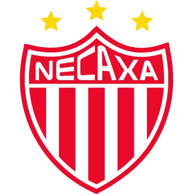内卡萨 图标